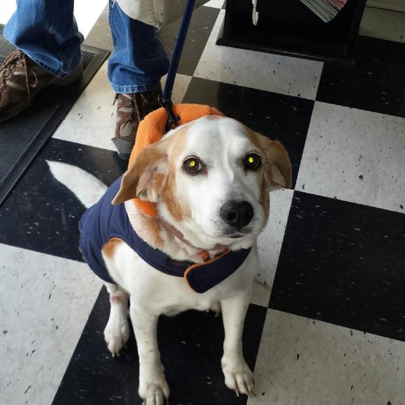 Meet your Posher, Peoples - Picture 2 of 4